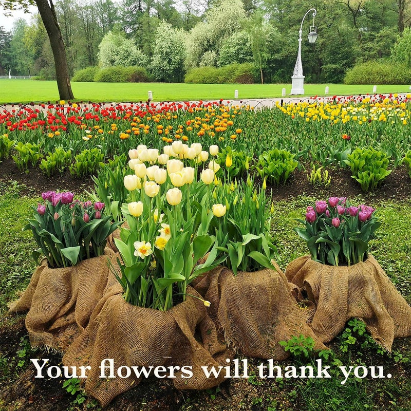 Burloptuous 40" x75 Feet Gardening Burlap Fabric Roll - Burlap Tree Wrap, Weed Barrier, Erosion Control, Aisle Runner, Multipurpose Natural Jute Fabric, High Density Material - Image 4